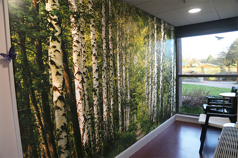 A themed corridor with a large scale photograph of woodland scene and butterflies 